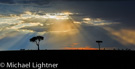 Maasai Mara